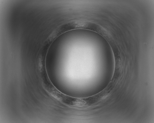 X0000070870215200606191351