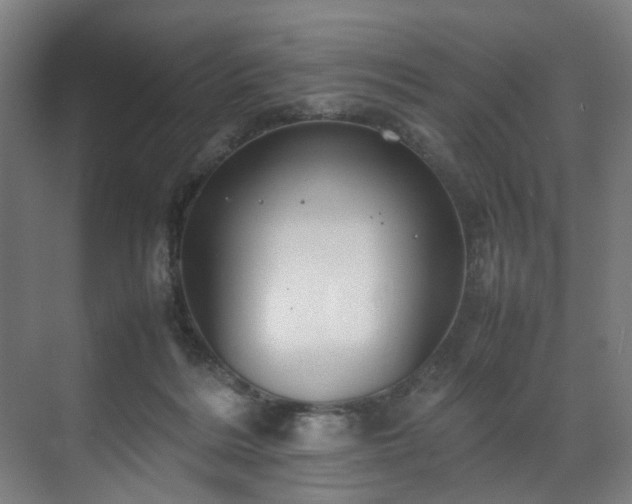 X0000070870220200606191350