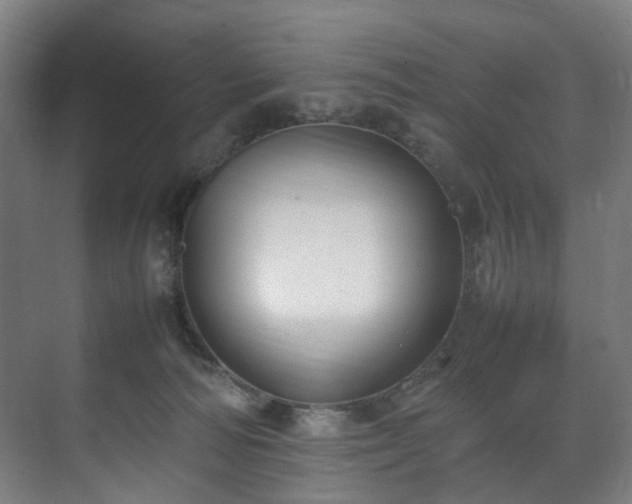 X0000070870226200606191350