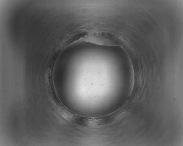X0000070870229200606191350