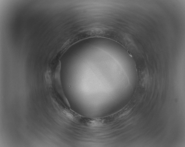 X0000070870232200606191350
