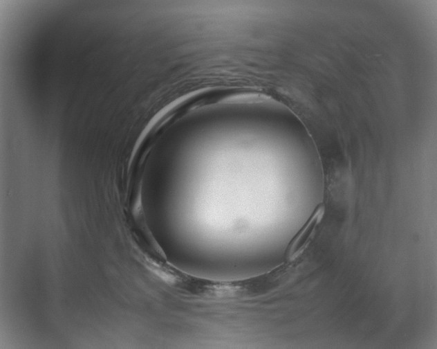 X0000070870233200606191350