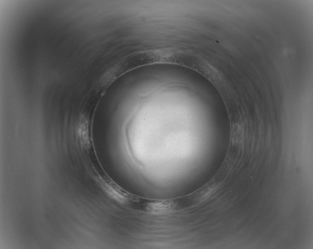 X0000070870238200606191350