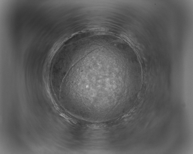 X0000070870241200606191349