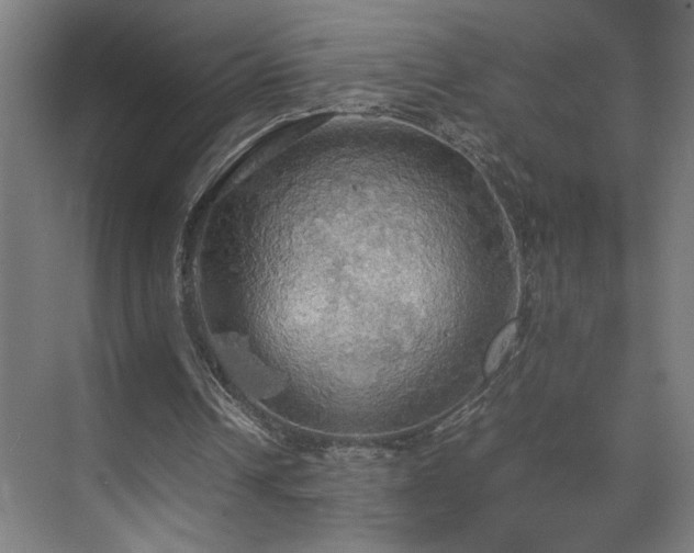 X0000070870242200606191349