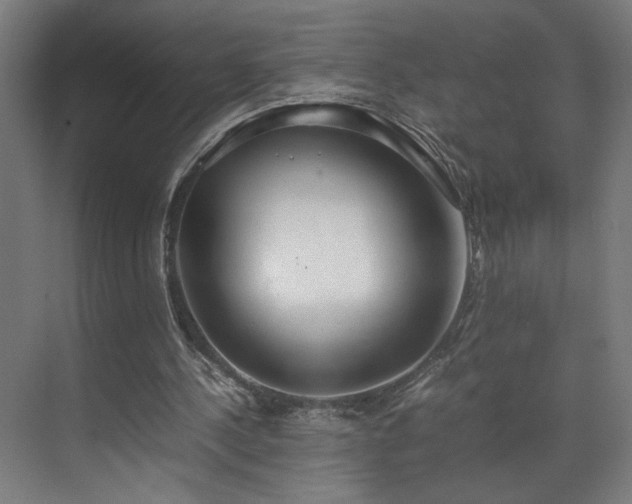 X0000070870244200606191349