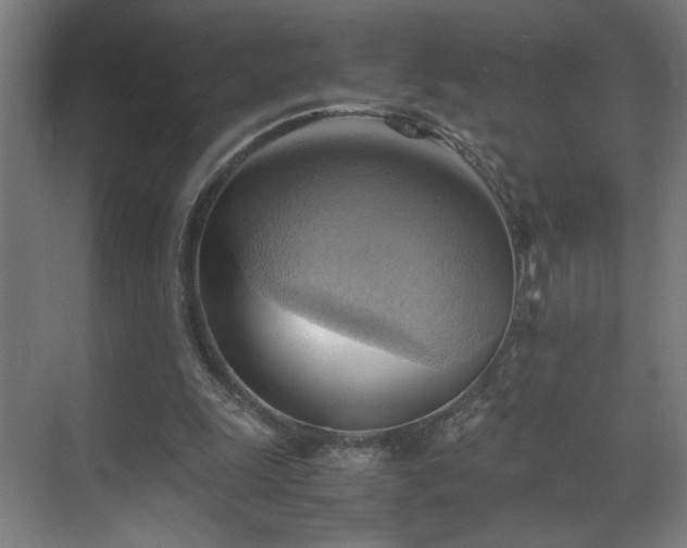 X0000070870247200606191349