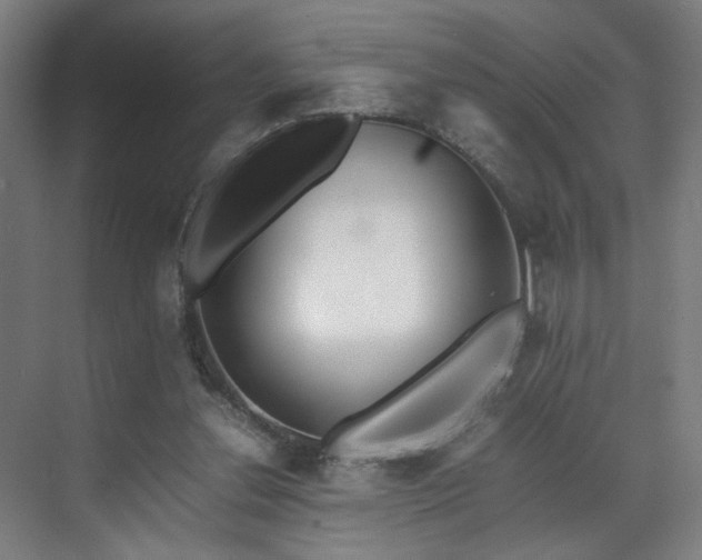 X0000070870252200606191350