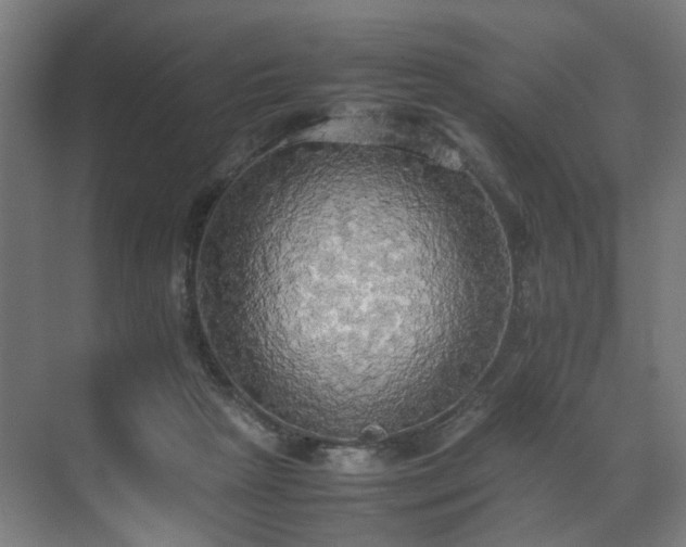 X0000070870265200606191350