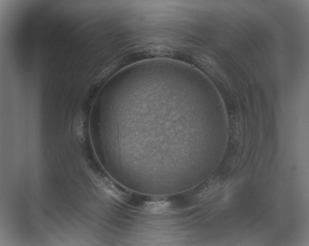 X0000070870266200606191350