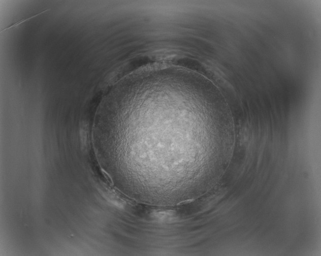 X0000070870283200606191350