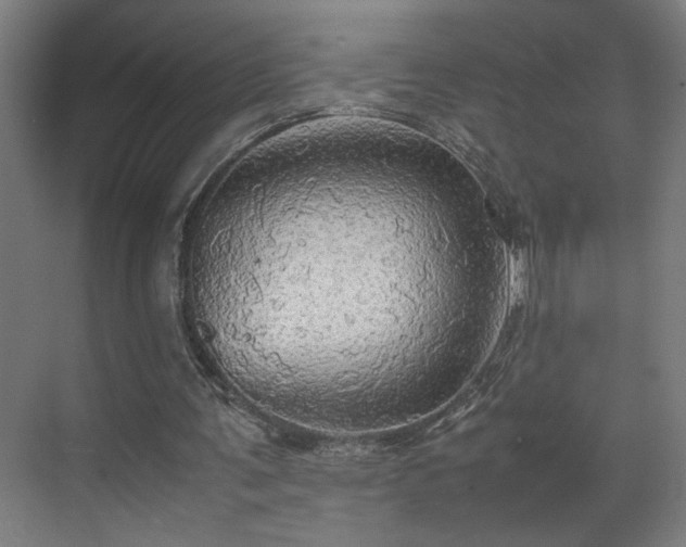 X0000070870291200606191349