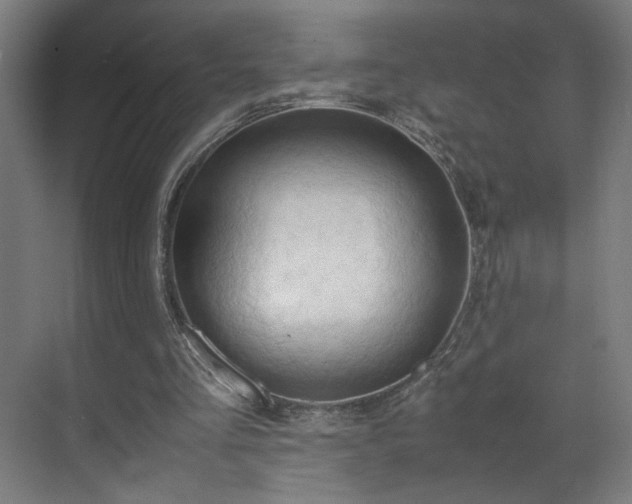 X0000070870293200606191349