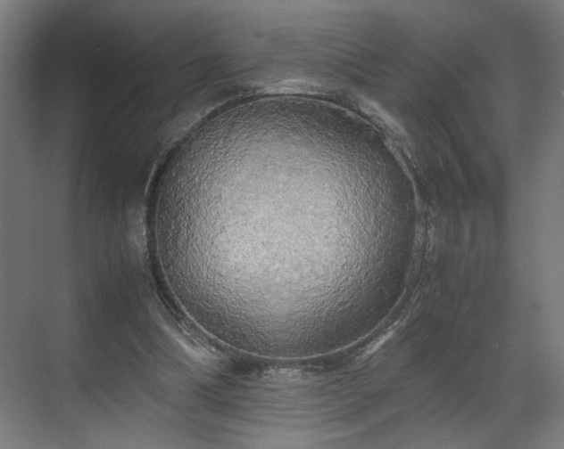 X0000070870298200606191349
