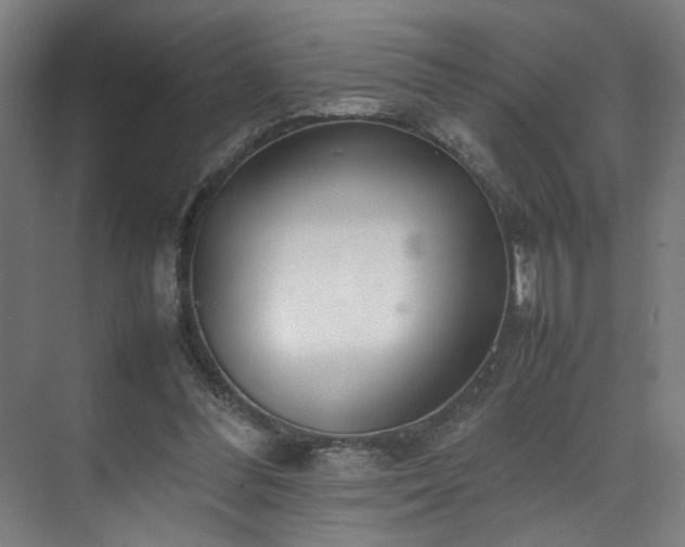 X0000070870300200606191349