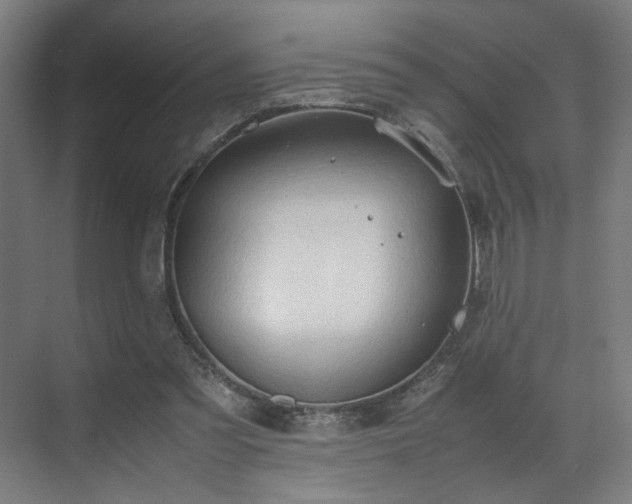 X0000070870301200606191349