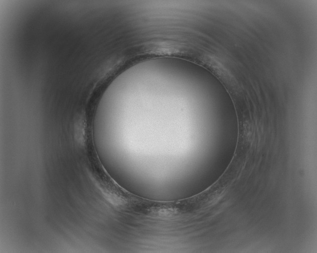 X0000070870304200606191349