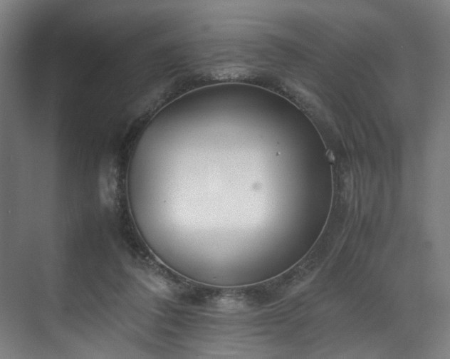 X0000070870308200606191349