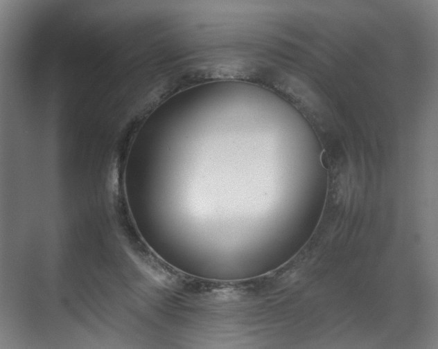 X0000070870310200606191349