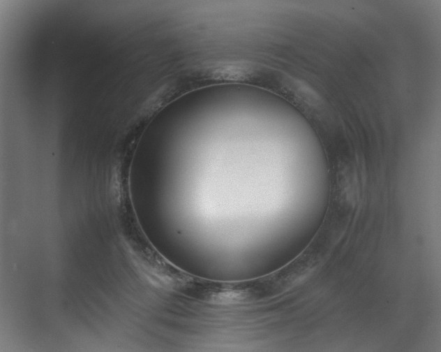 X0000070870312200606191349