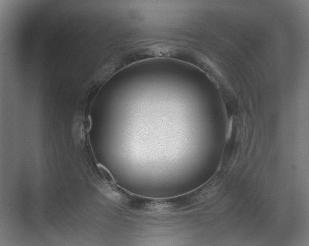 X0000070870313200606191349