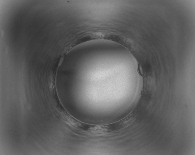 X0000070870331200606191349
