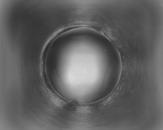 X0000070870342200606191348