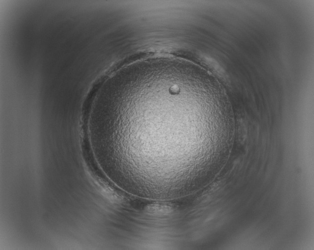 X0000070870354200606191348