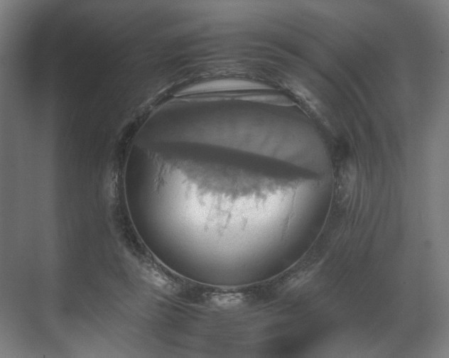X0000070870355200606191348