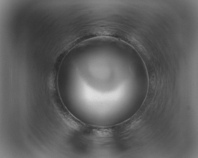 X0000070870359200606191348