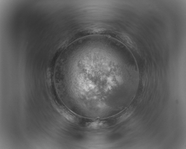 X0000070870366200606191348