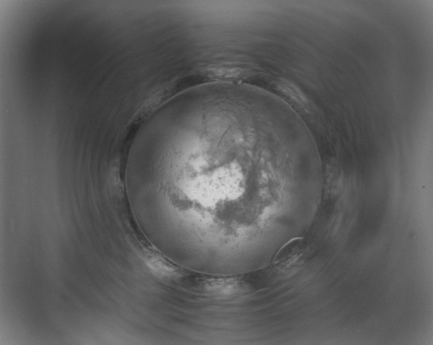 X0000070870377200606191348