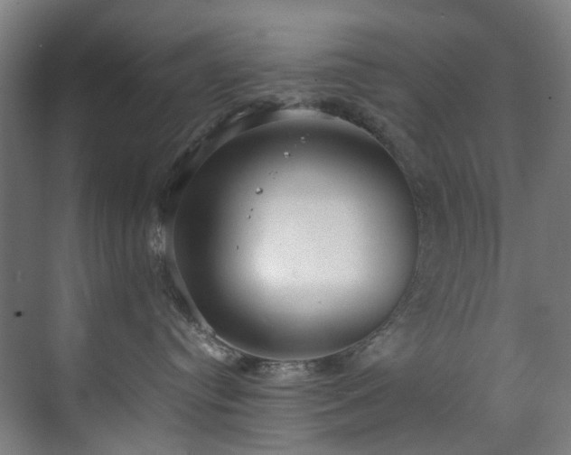 X0000070870384200606191349