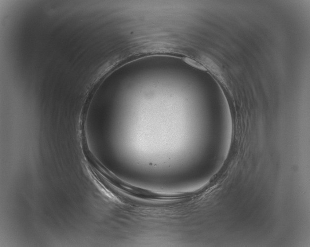 X0000070870389200606191348