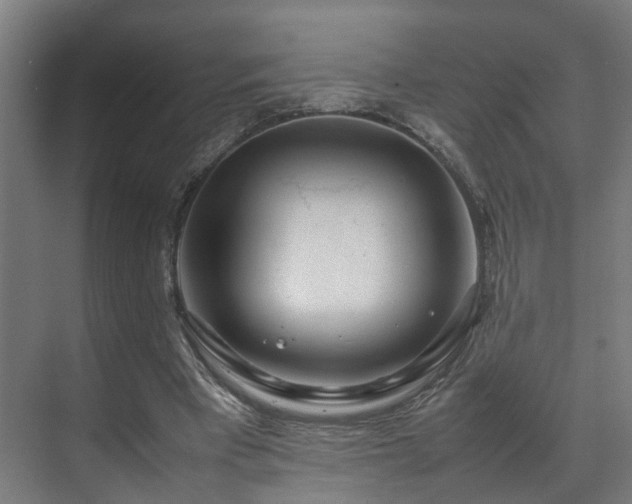 X0000070870393200606191348