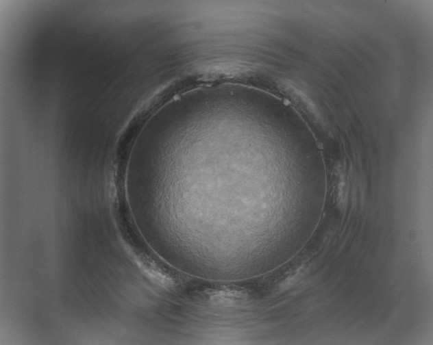 X0000070870400200606191347