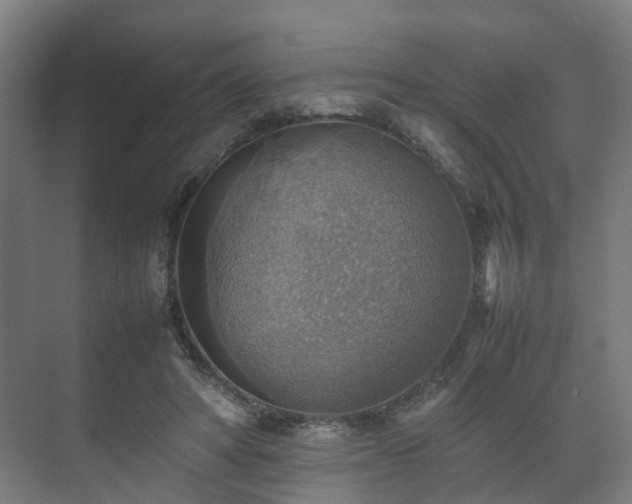 X0000070870402200606191347