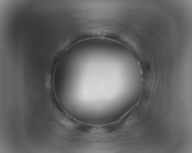 X0000070870403200606191347