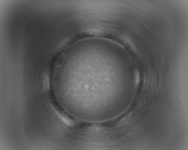 X0000070870404200606191347