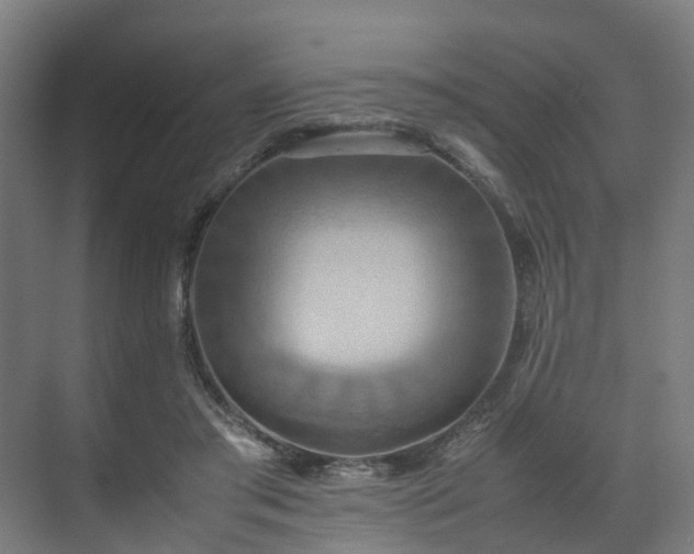 X0000070870405200606191347