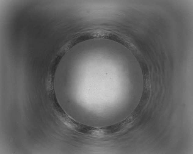 X0000070870411200606191347