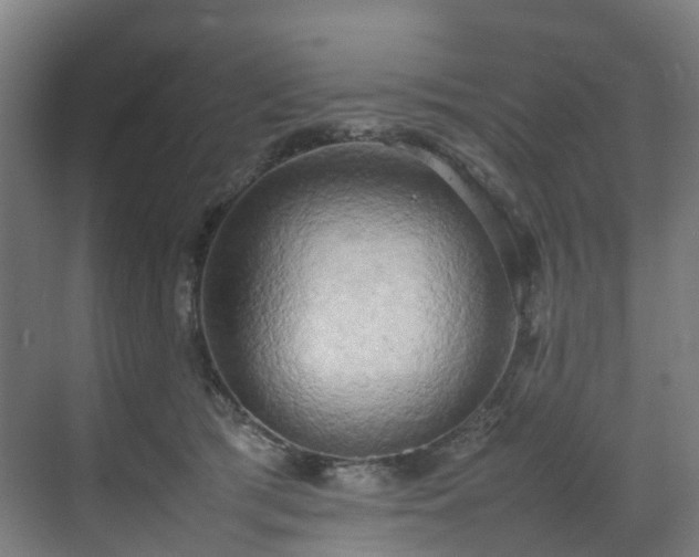 X0000070870417200606191347