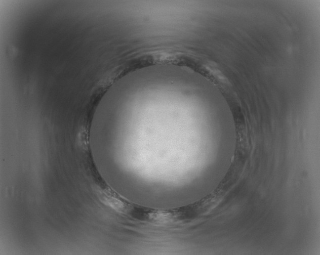 X0000070870419200606191347