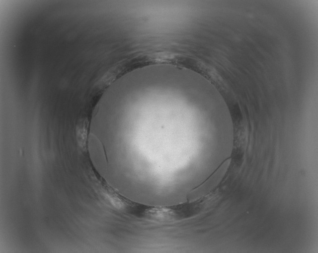 X0000070870427200606191347
