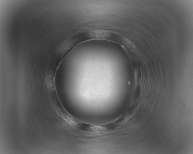 X0000070870429200606191347