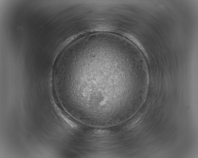 X0000070870437200606191346