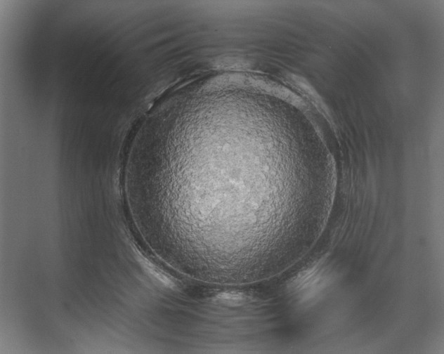 X0000070870441200606191346