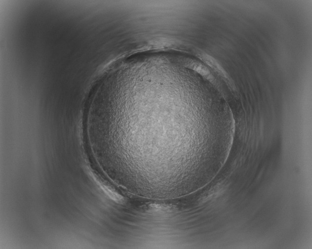 X0000070870442200606191346