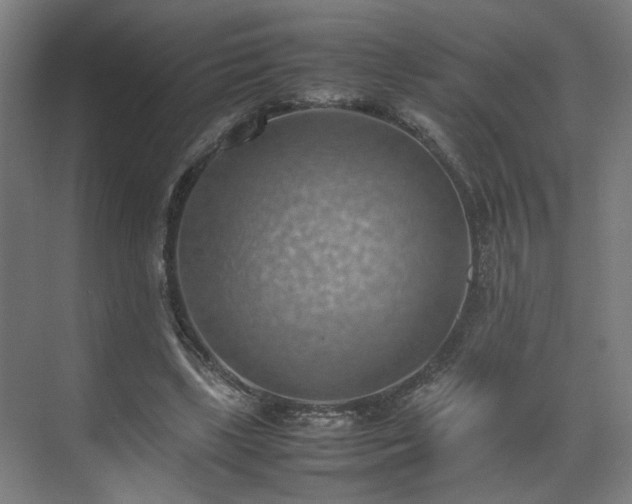 X0000070870443200606191346