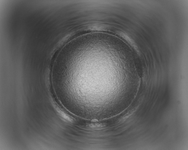X0000070870445200606191346